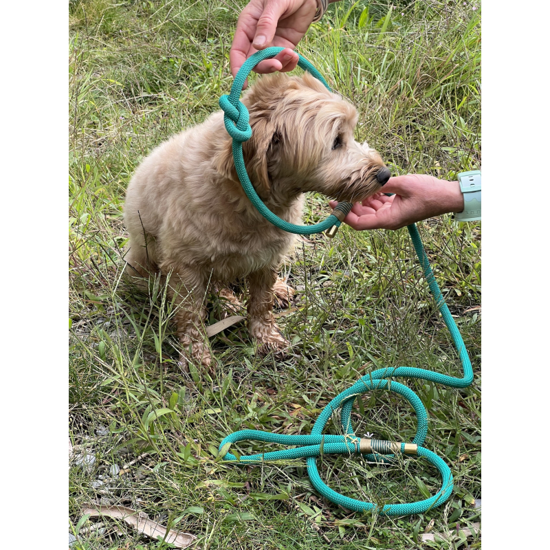 Hundeleine Aqua / Seegrün mit Braun (Führerleine oder Retrieverleine)