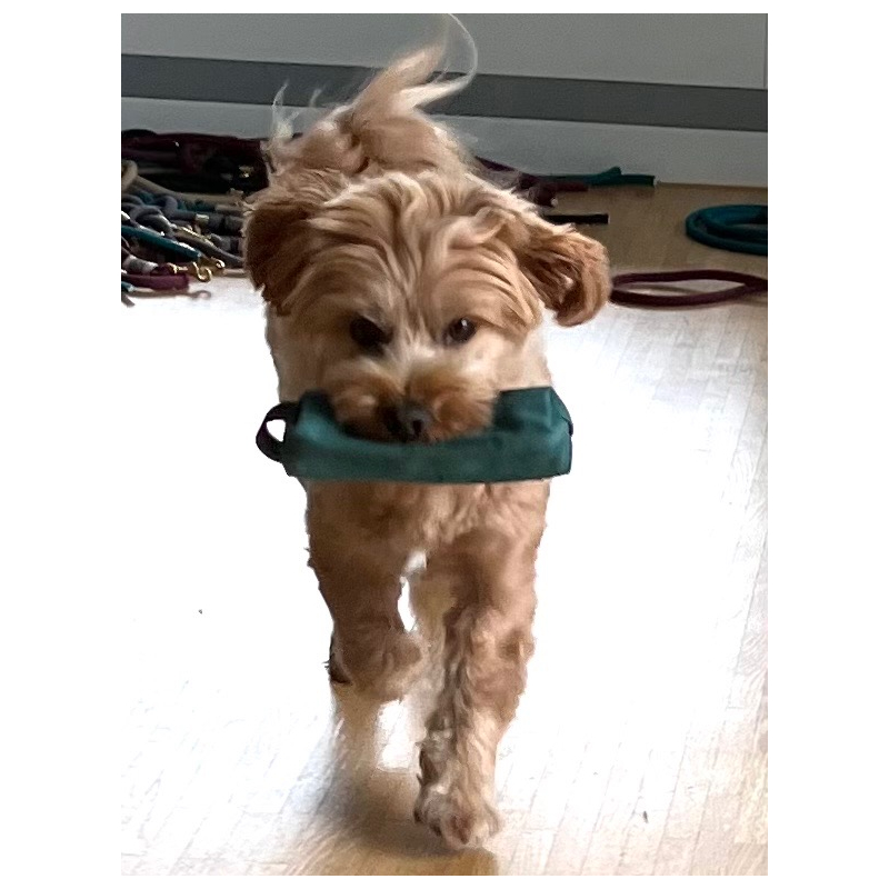 Futterdummy - Waldgrün